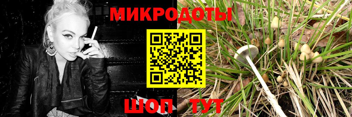 Галлюциногенные грибы мицелий Бугуруслан