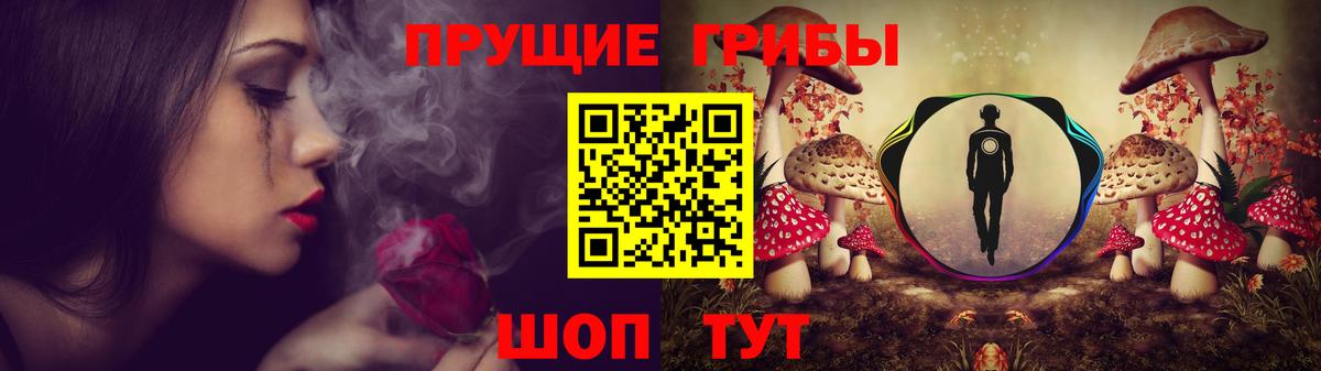 Псилоцибиновые грибы Magic Shrooms  Вход с VPN  Бугуруслан  что такое наркотик  Псилоцибиновые грибы мухоморы 