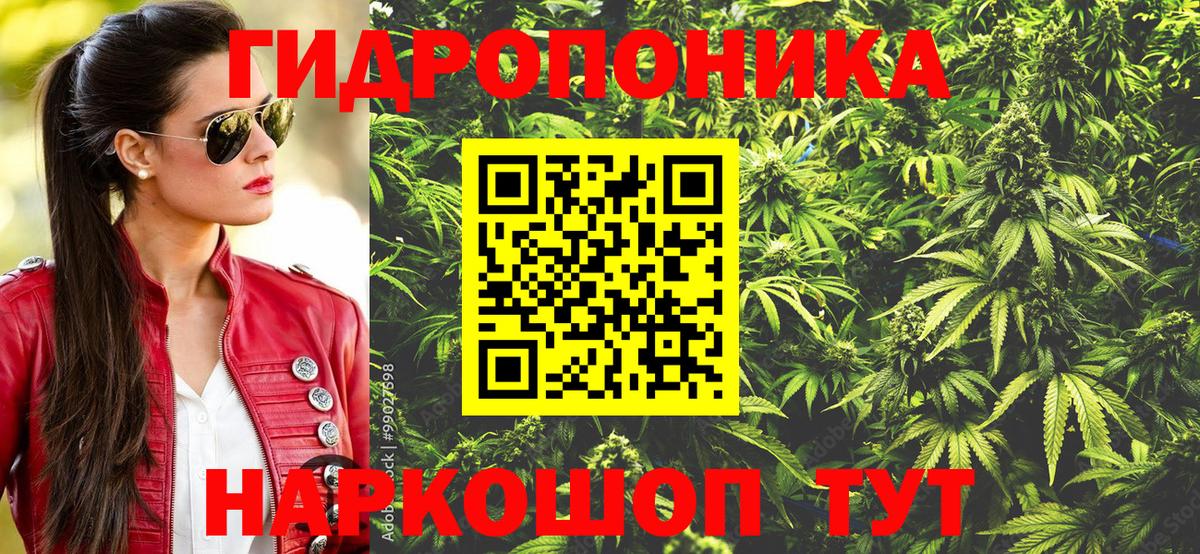 Шишки марихуана тримм  Конопля ГИДРОПОН  Бошки марихуана семена  Конопля конопля  Бугуруслан  Вход с VPN 